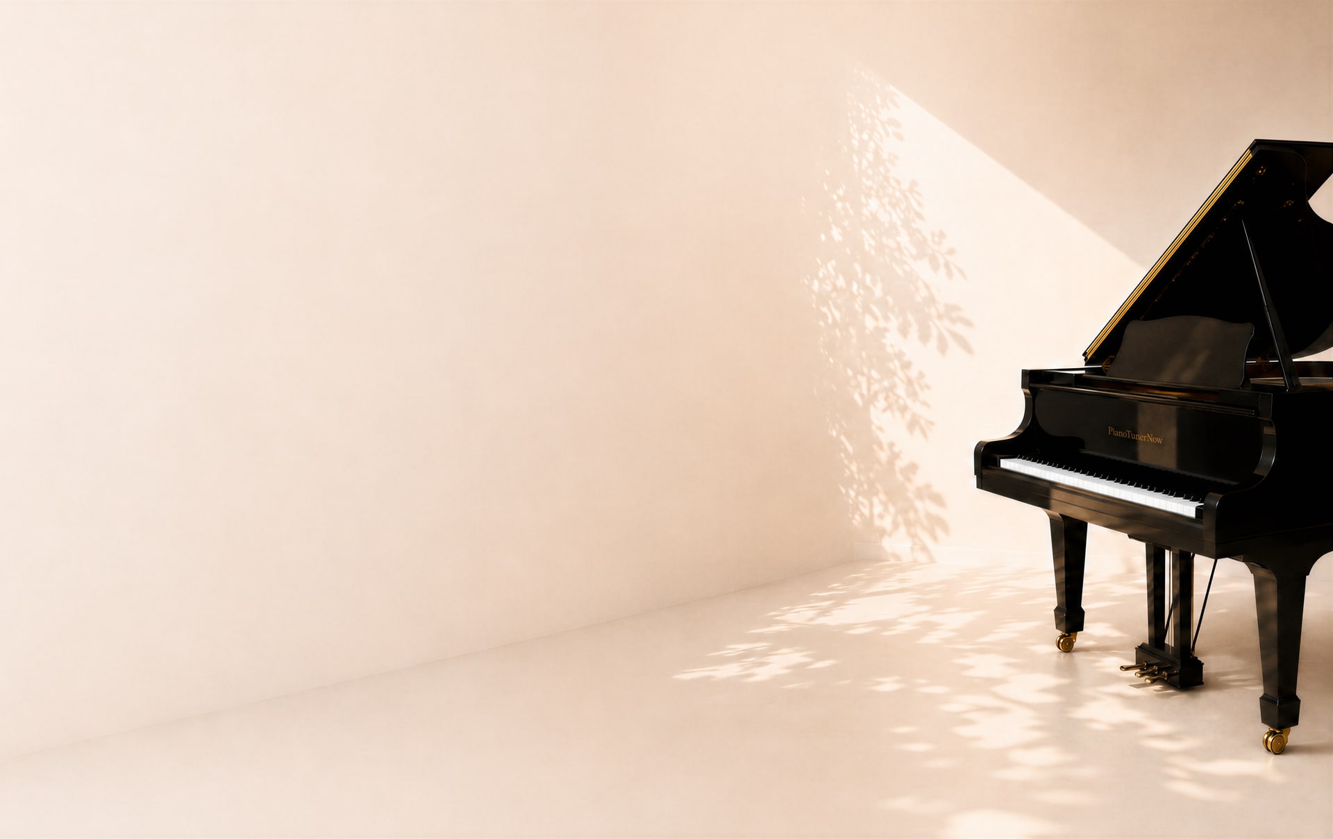 Pianoforte a coda in una sala luminosa
